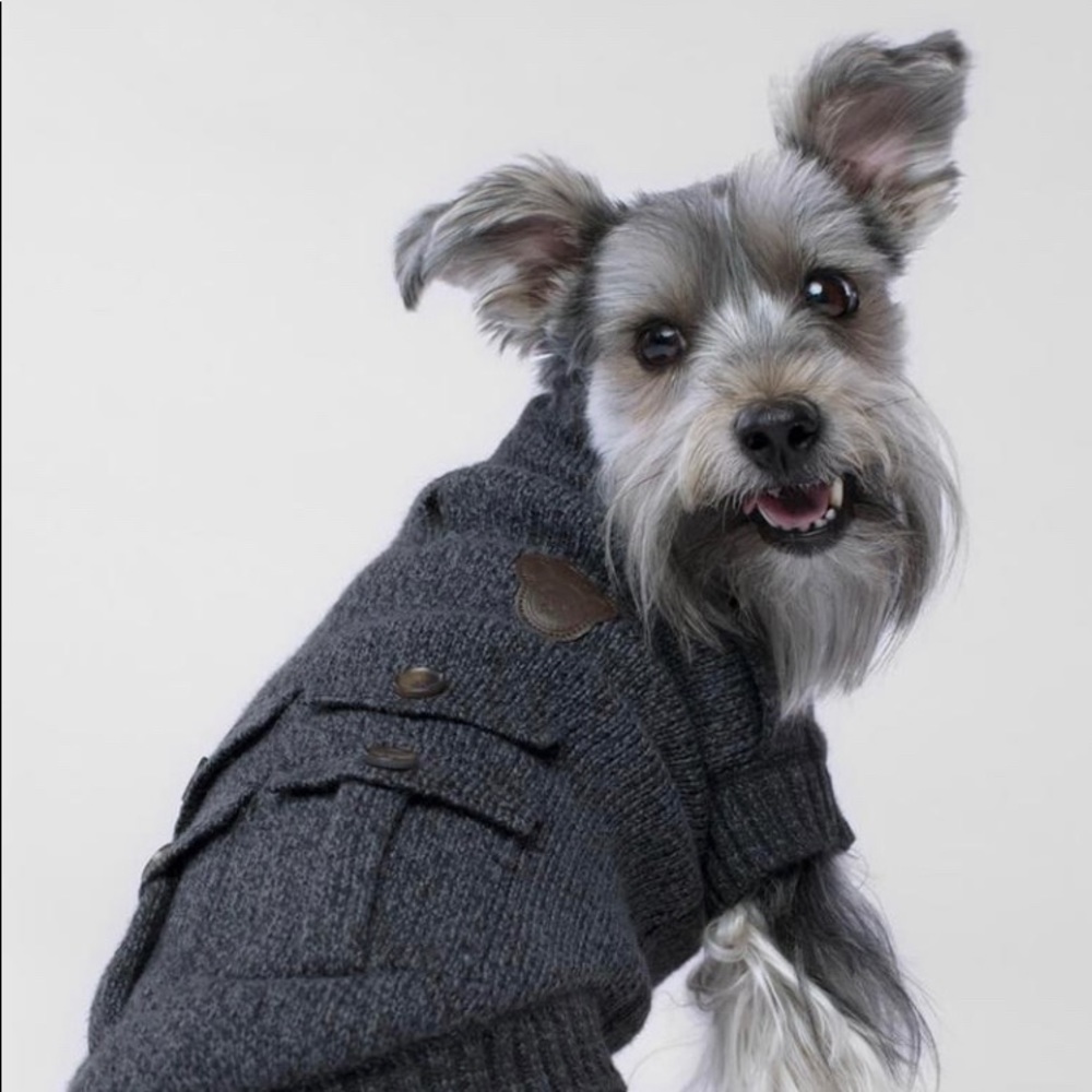 Canada Pooch Cargo Cardigan Sweater In Charcoal